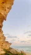 miya_sahar Altpins Profile Picture