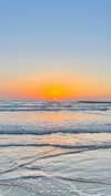 miya_sahar Altpins Profile Picture