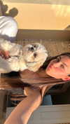 miya_sahar Altpins Profile Picture