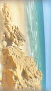 miya_sahar Altpins Profile Picture