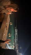 miya_sahar Altpins Profile Picture