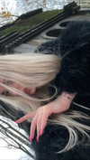 mlllkvv Altpins Profile Picture