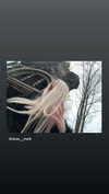 mlllkvv Altpins Profile Picture