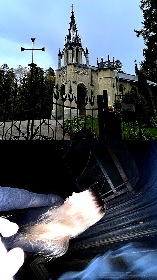 mlllkvv mlllkvv archive image