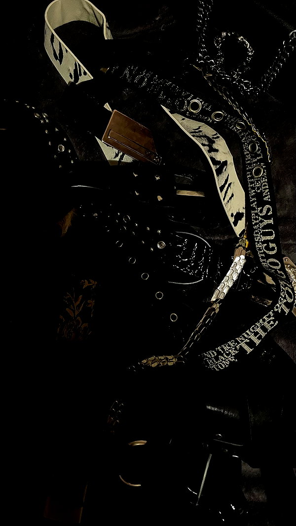 mlllkvv mlllkvv archive image