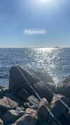 mlllkvv Altpins Profile Picture