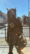 mollieruck Altpins Profile Picture