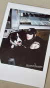 mollieruck Altpins Profile Picture