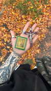 mollieruck Altpins Profile Picture