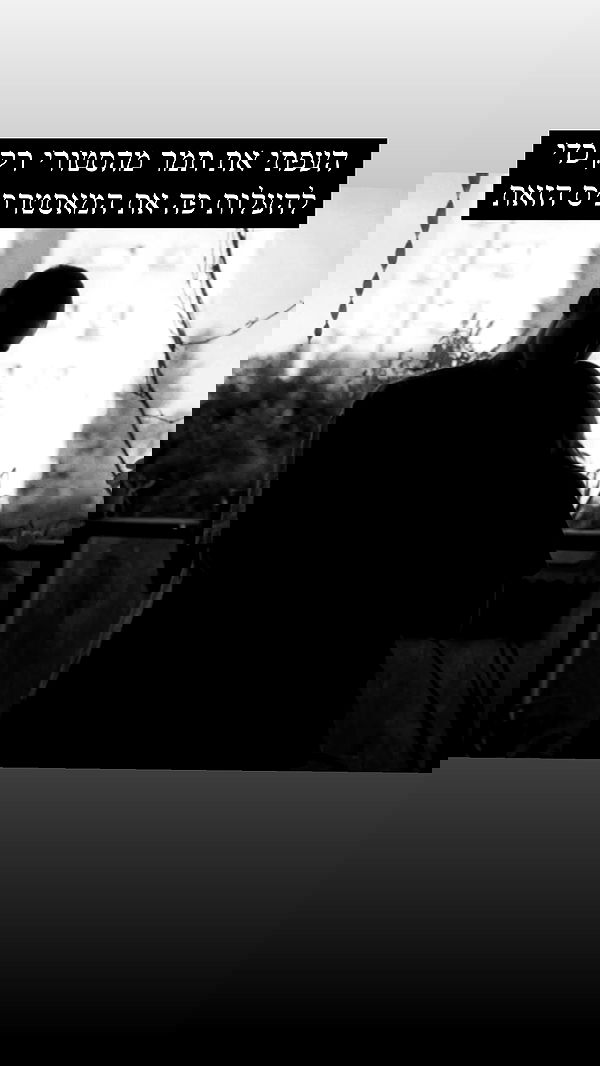 moonliliaght moonliliaght archive image