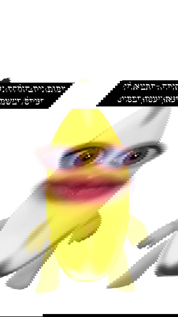 moonliliaght moonliliaght archive image