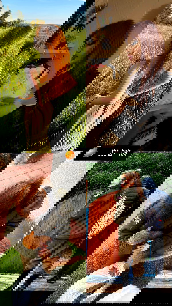 moonliliaght moonliliaght archive image