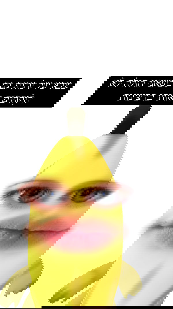 moonliliaght moonliliaght archive image