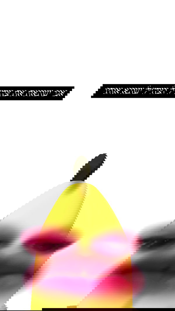 moonliliaght moonliliaght archive image