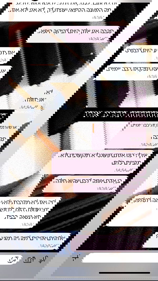 moonliliaght moonliliaght archive image