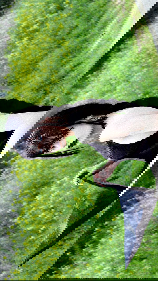 moonliliaght moonliliaght archive image