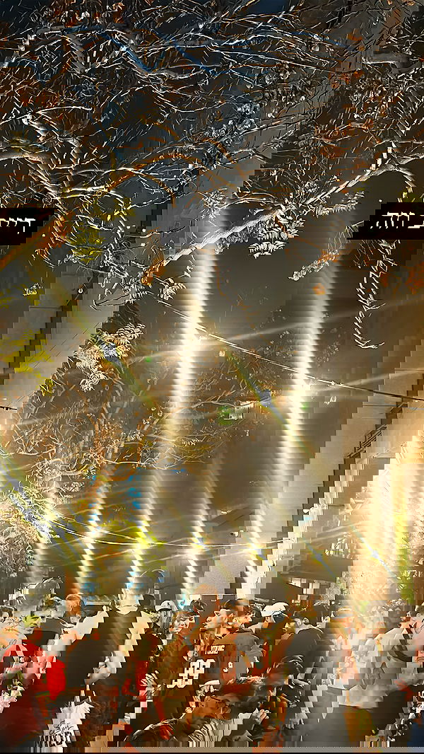 moonliliaght moonliliaght archive image