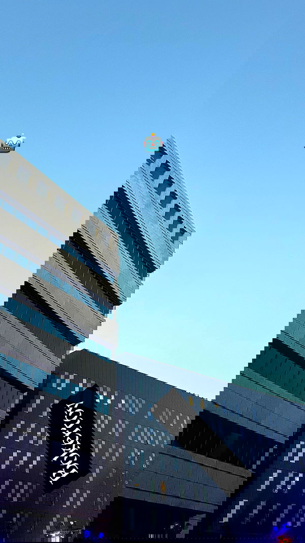 moonliliaght moonliliaght archive image