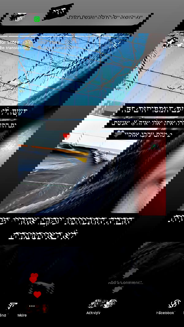 moonliliaght moonliliaght archive image