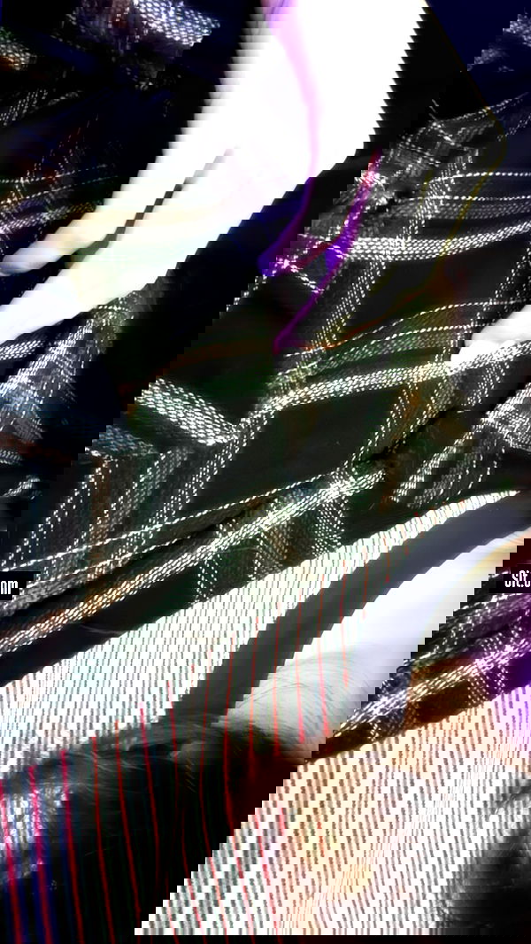 moonliliaght moonliliaght archive image