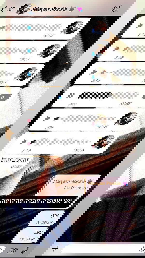 moonliliaght moonliliaght archive image