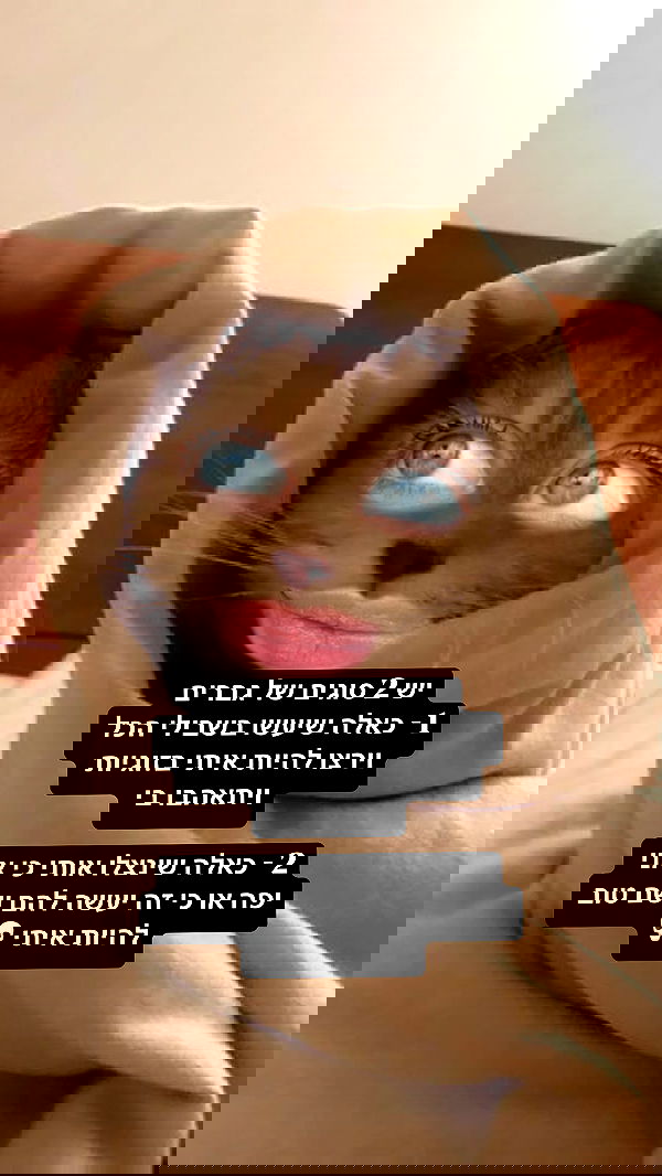 moonliliaght moonliliaght archive image