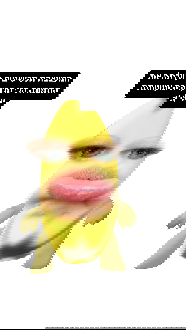 moonliliaght moonliliaght archive image