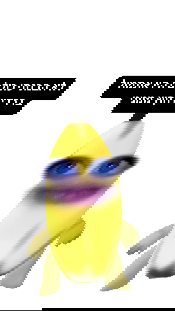 moonliliaght moonliliaght archive image