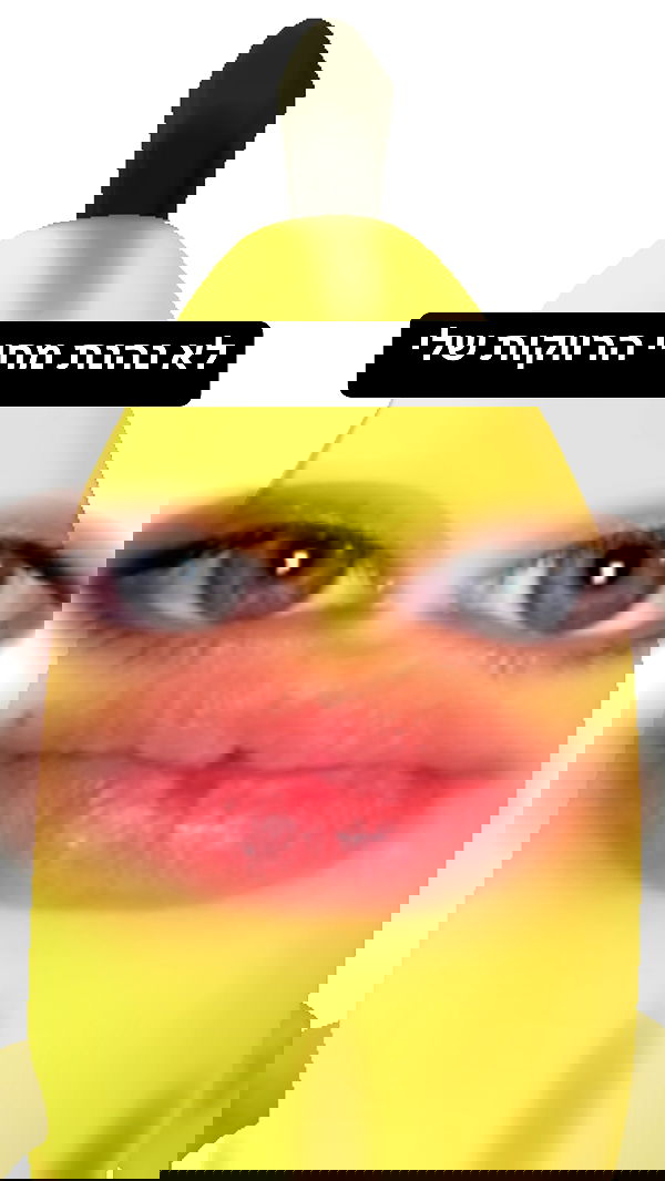 moonliliaght moonliliaght archive image