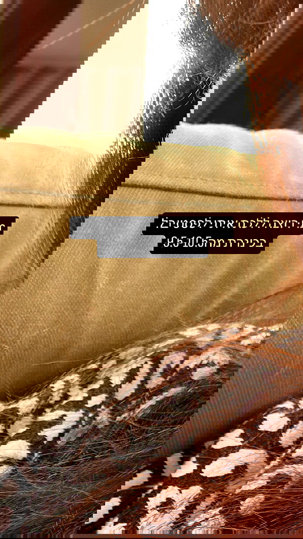 moonliliaght moonliliaght archive image