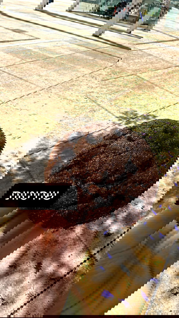 moonliliaght moonliliaght archive image