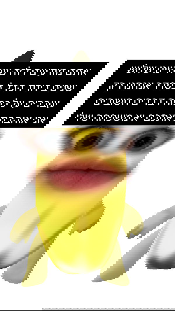 moonliliaght moonliliaght archive image