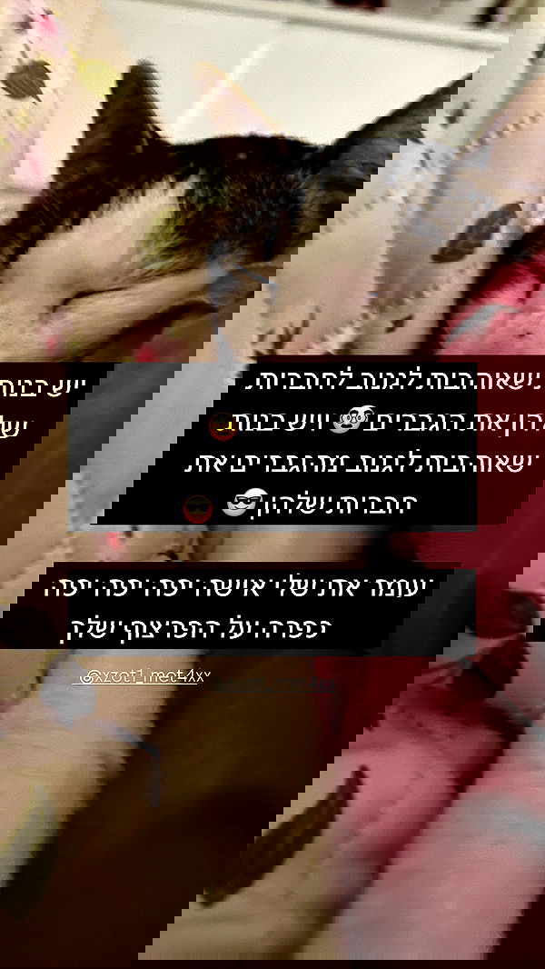 moonliliaght moonliliaght archive image