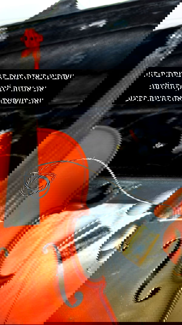 moonliliaght moonliliaght archive image