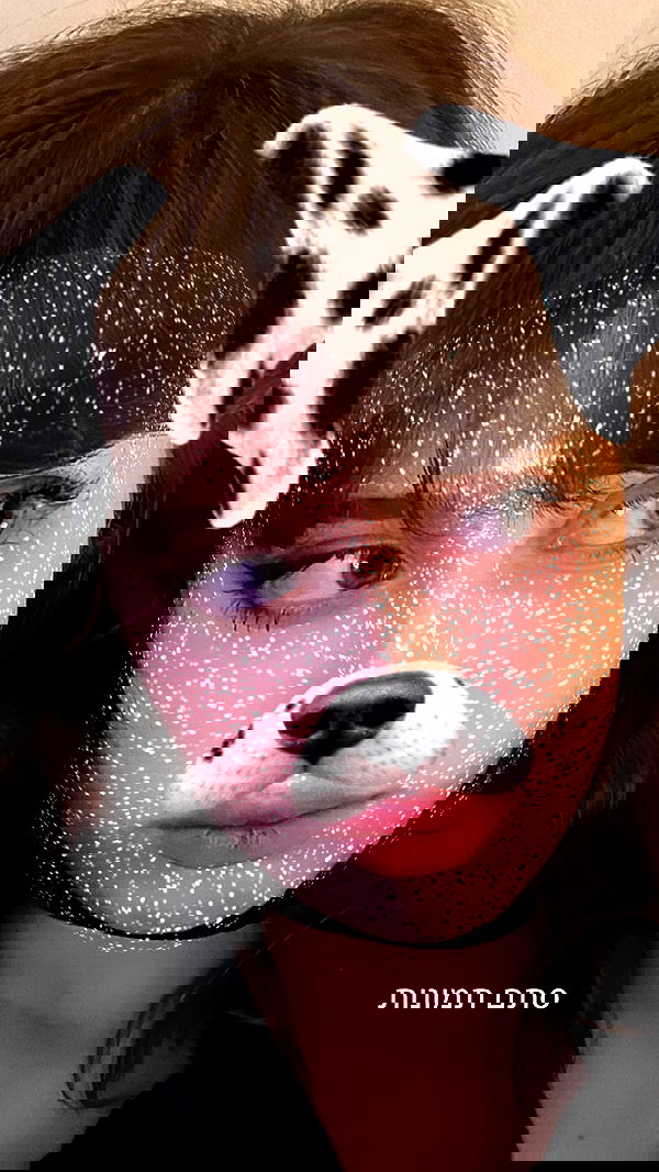 moonliliaght moonliliaght archive image