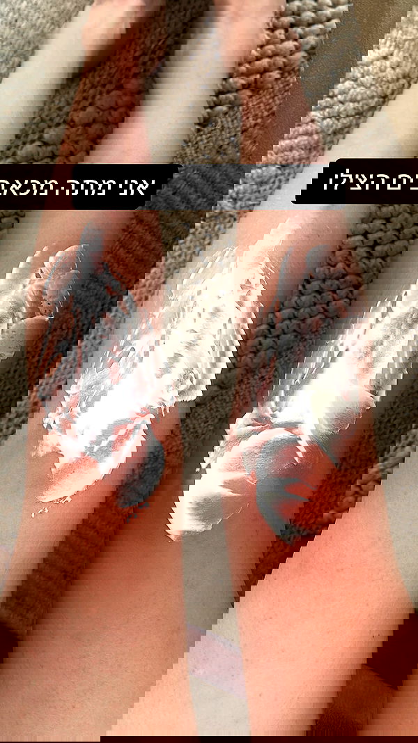 moonliliaght moonliliaght archive image