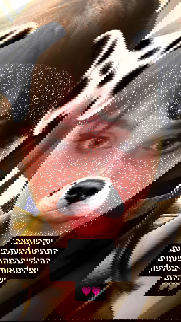 moonliliaght moonliliaght archive image