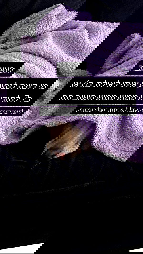 moonliliaght moonliliaght archive image