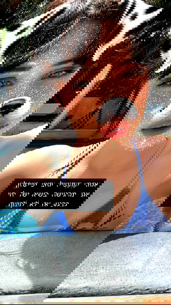 moonliliaght moonliliaght archive image