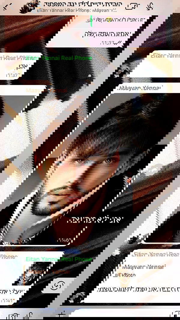 moonliliaght moonliliaght archive image