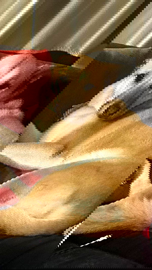 moonliliaght moonliliaght archive image