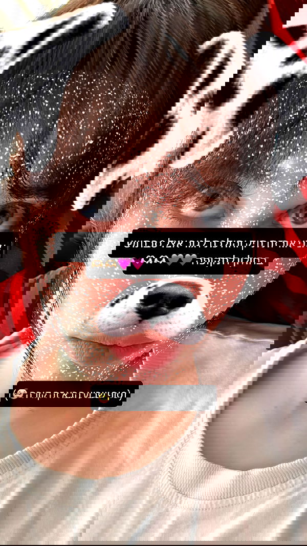 moonliliaght moonliliaght archive image