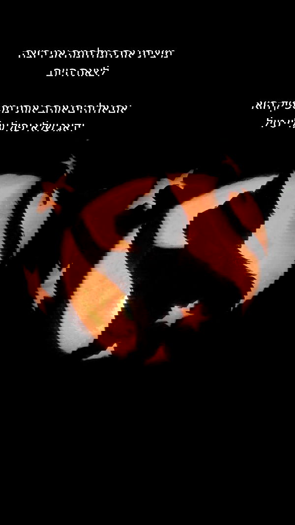 moonliliaght moonliliaght archive image