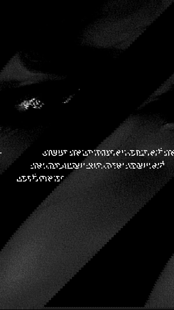 moonliliaght moonliliaght archive image