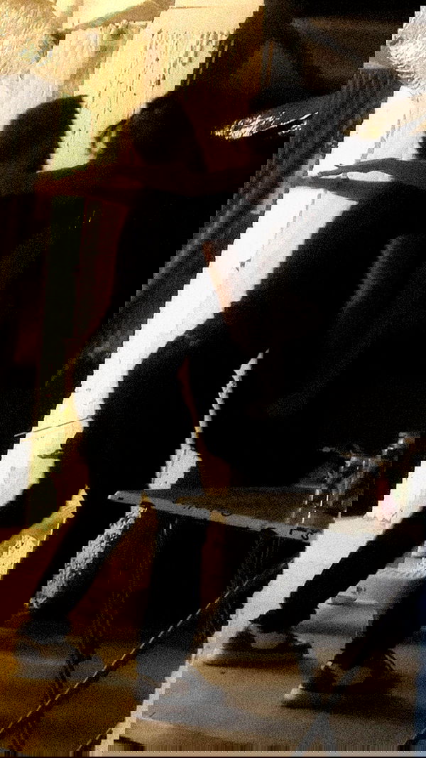 moonliliaght moonliliaght archive image