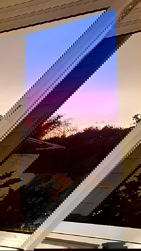 moonliliaght moonliliaght archive image