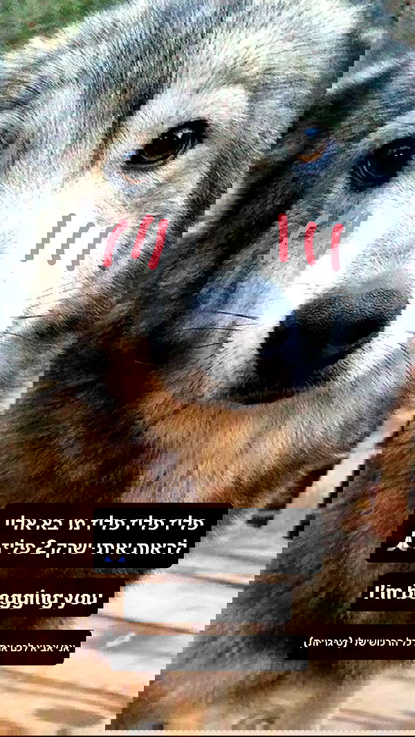 moonliliaght moonliliaght archive image