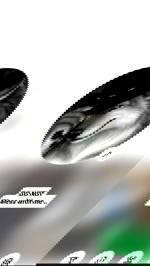 moonliliaght moonliliaght archive image