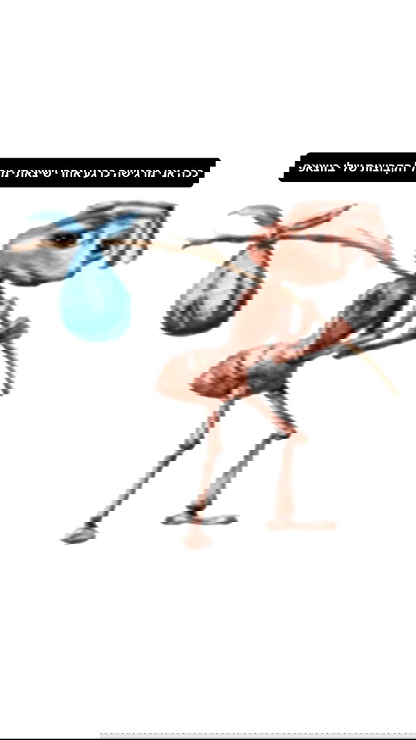 moonliliaght moonliliaght archive image