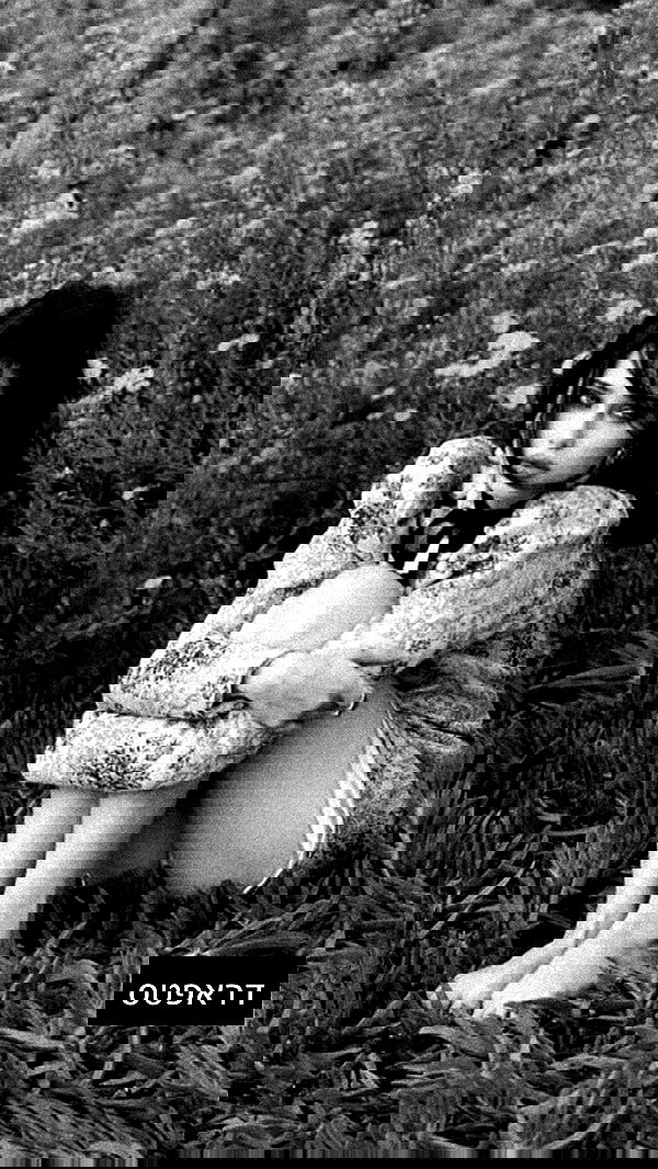 moonliliaght moonliliaght archive image